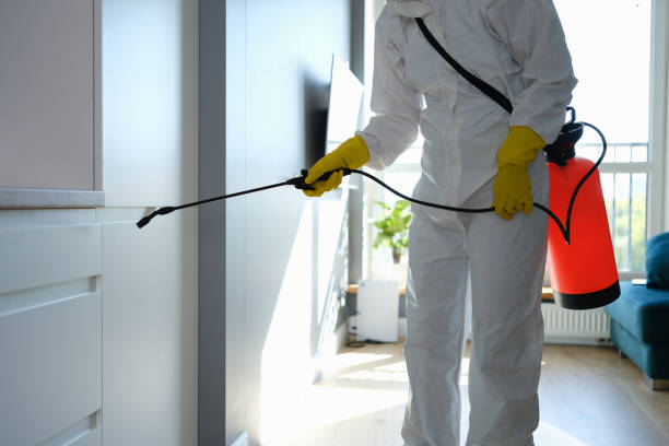 Best Emergency Mold Removal  in Algona, WA